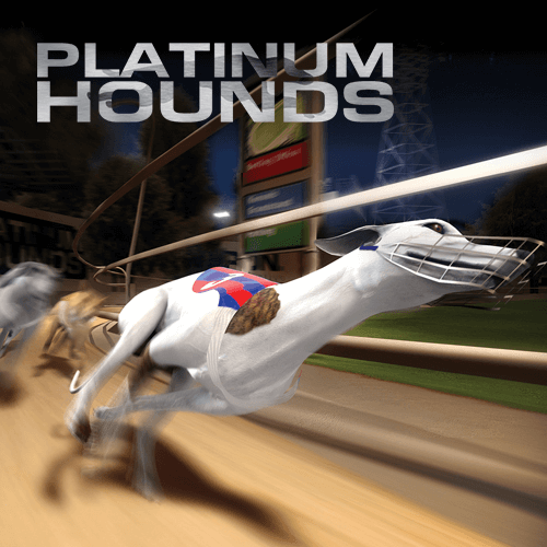 Platinum hounds Platinum hounds